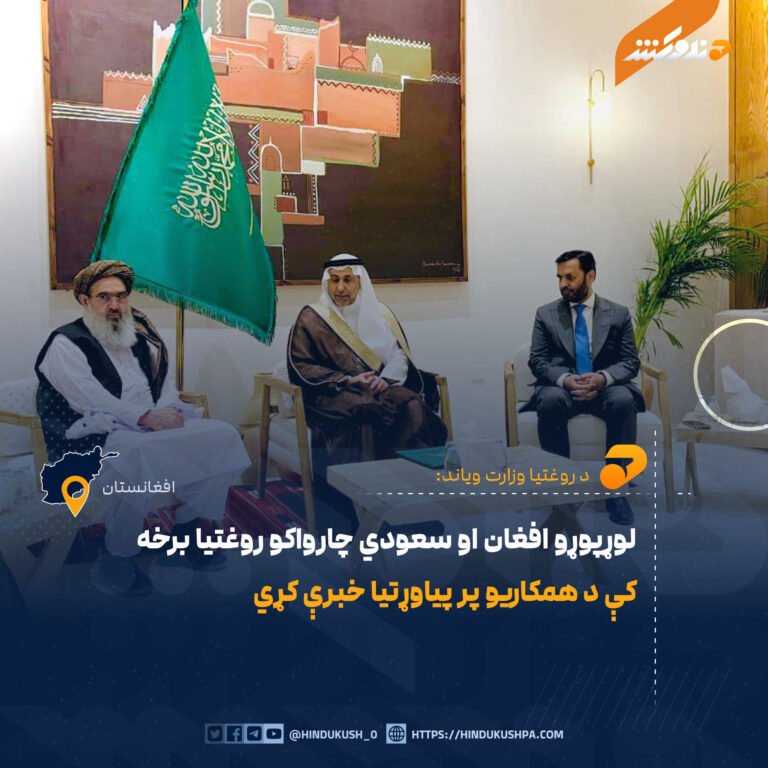 لوړپوړو افغان او سعودي چارواکو روغتیا برخه کې د همکاریو پر پیاوړتیا خبرې کړي
