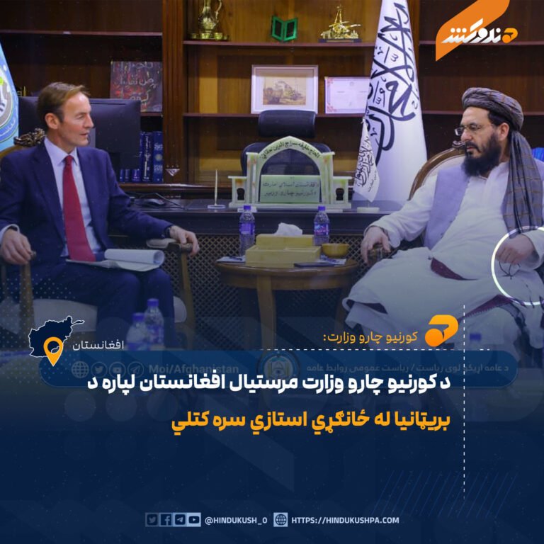 د کورنیو چارو وزارت مرستیال افغانستان لپاره د بریټانیا له ځانګړي استازي سره کتلي