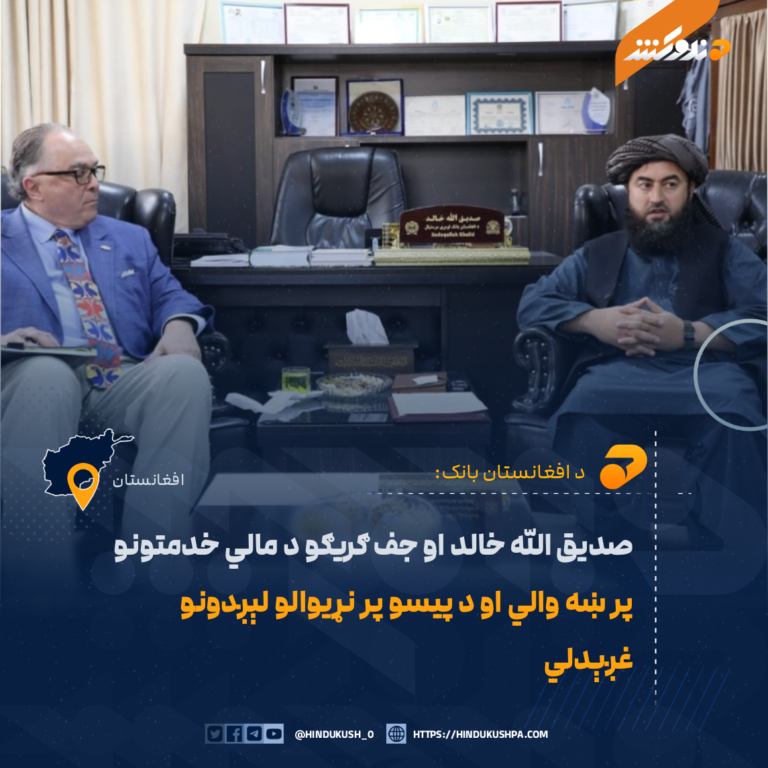 صدیق الله خالد او جف ګریګو د مالي خدمتونو پر ښه والي او د پیسو پر نړیوالو لېږدونو غږېدلي