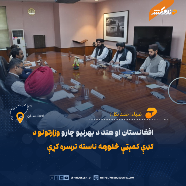افغانستان او هند د بهرنیو چارو وزارتونو د ګډې کمېټې څلورمه ناسته ترسره کړې