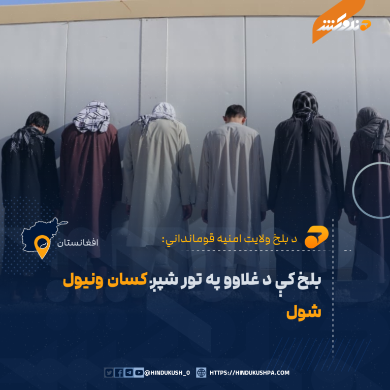 بلخ کې د غلاوو په تور شپږ کسان ونیول شول
