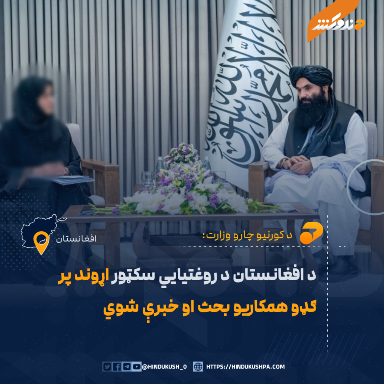 د افغانستان د روغتیايي سکټور اړوند پر ګډو همکاريو بحث او خبرې شوي