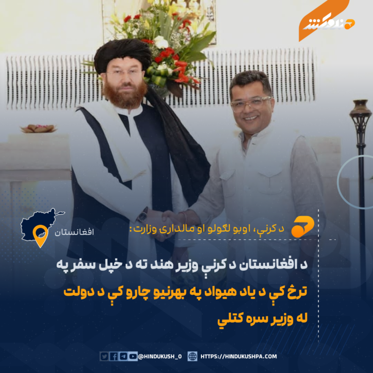 د افغانستان د کرنې وزیر هند ته د خپل سفر په ترڅ کې د یاد هیواد په بهرنیو چارو کې د دولت له وزیر سره کتلي