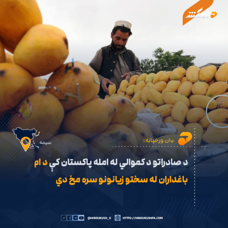 د صادراتو د کموالي له امله پاکستان کې د ام باغداران له سختو زيانونو سره مخ دي
