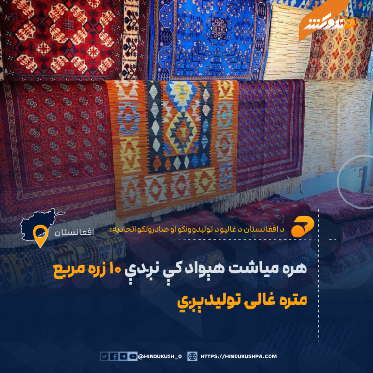 هره مياشت هېواد کې نږدې ۱۰ زره مربع متره غالۍ تولیدېږي