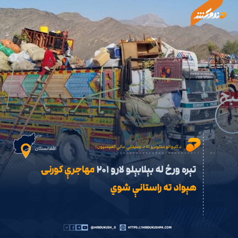 تېره ورځ له بېلابېلو لارو ۲۰۱ مهاجرې کورنۍ هېواد ته راستانې شوي