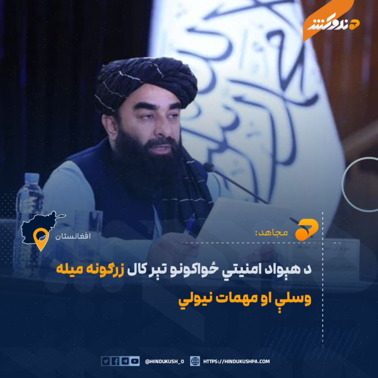 د هېواد امنيتي ځواکونو تېر کال زرګونه میله وسلې او مهمات نیولي