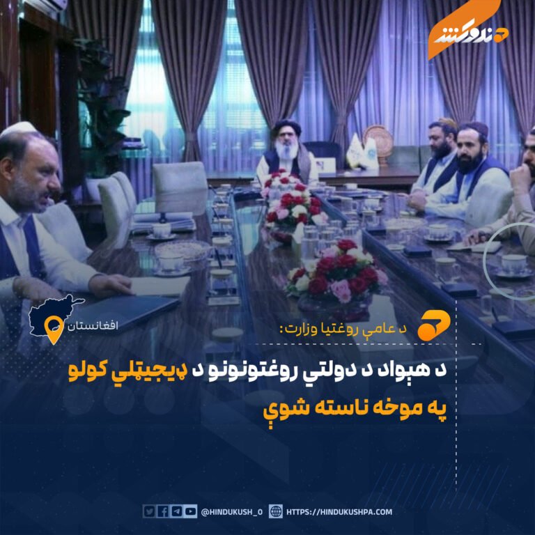 د هېواد د دولتي روغتونونو د ډيجيټلي کولو په موخه ناسته شوې
