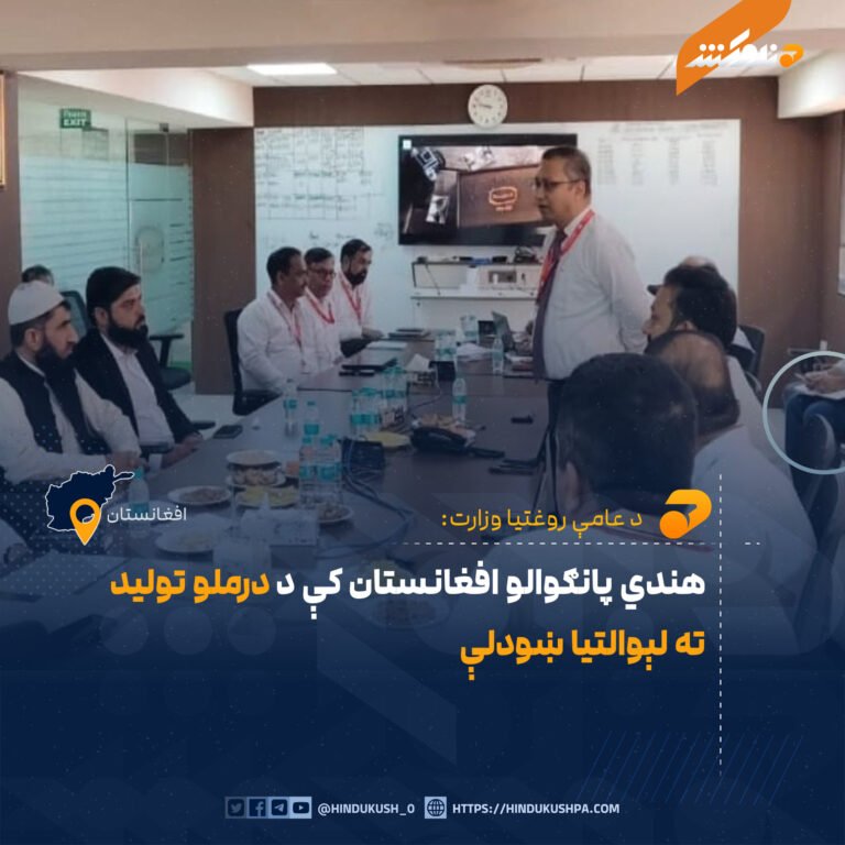 هندي پانګوالو افغانستان کې د درملو تولید ته لېوالتيا ښودلې