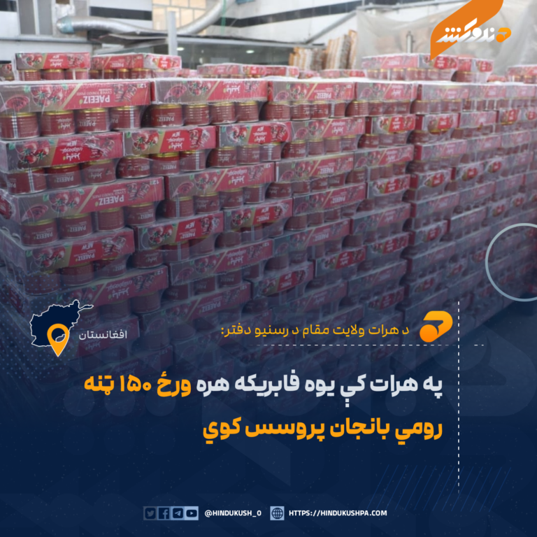 په هرات کې یوه فابریکه هره ورځ ۱۵۰ ټنه رومي بانجان پروسس کوي