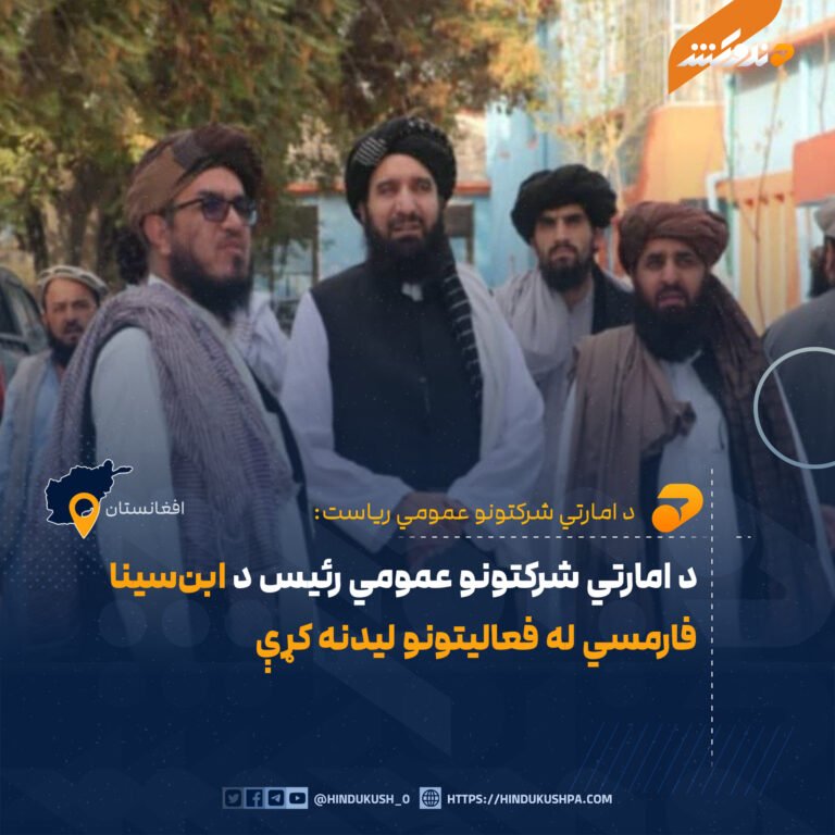 د امارتي شرکتونو عمومي رئیس د ابنسینا فارمسي له فعالیتونو لیدنه کړې