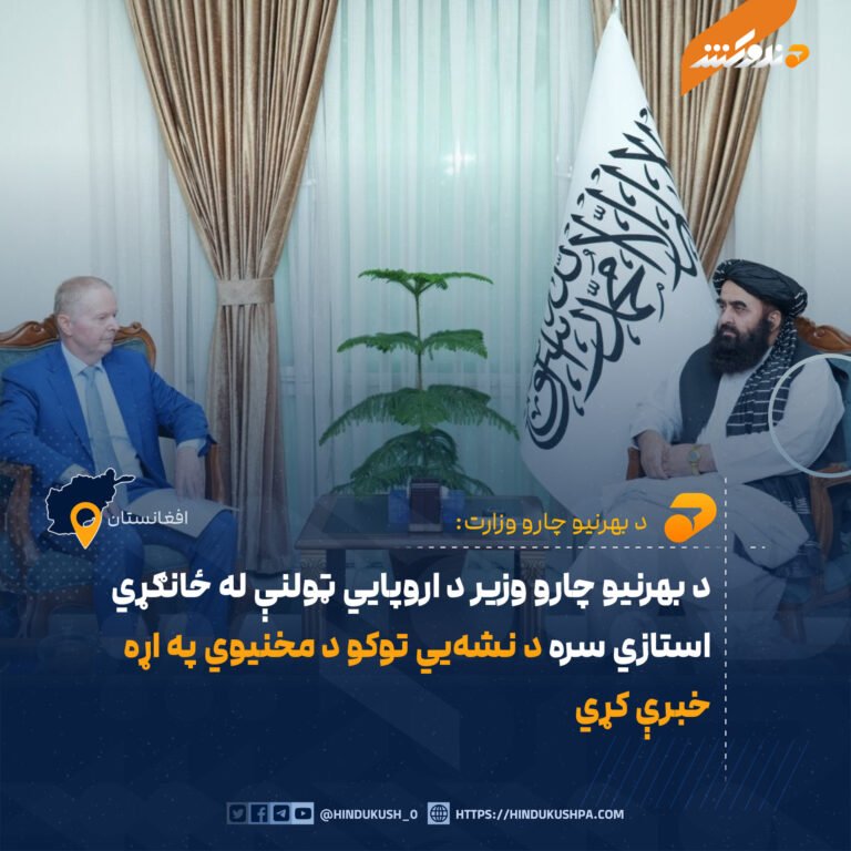 د بهرنیو چارو وزیر د اروپايي ټولنې له ځانګړي استازي سره د نشهیي توکو د مخنیوي په اړه خبرې کړي