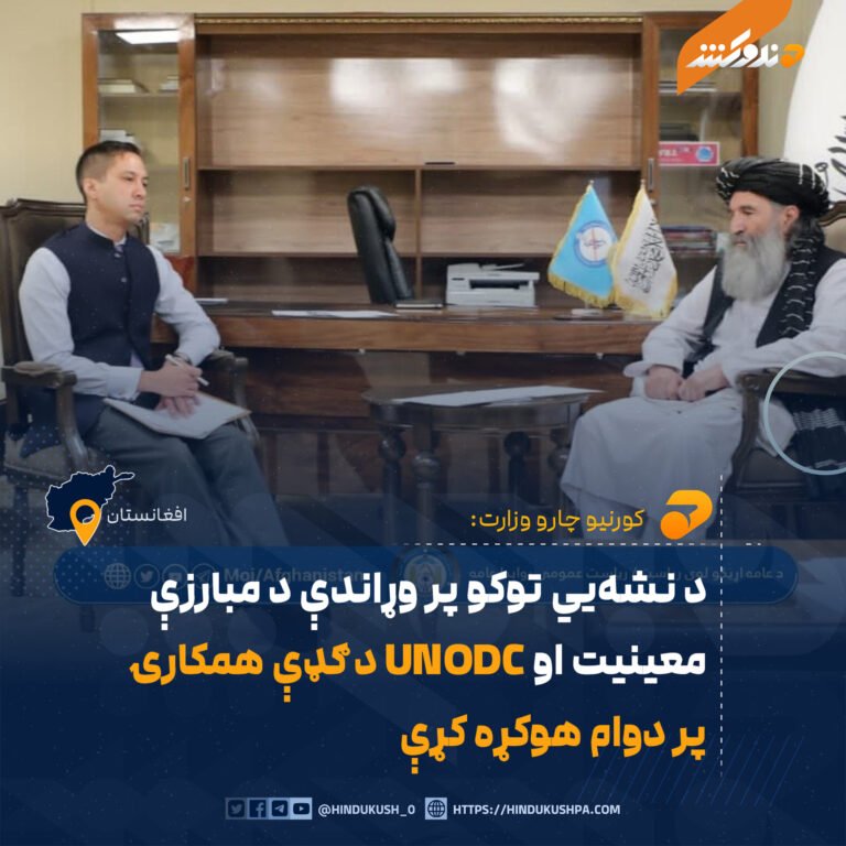 د نشهيي توکو پر وړاندې د مبارزې معینیت او UNODC د ګډې همکارۍ پر دوام هوکړه کړې