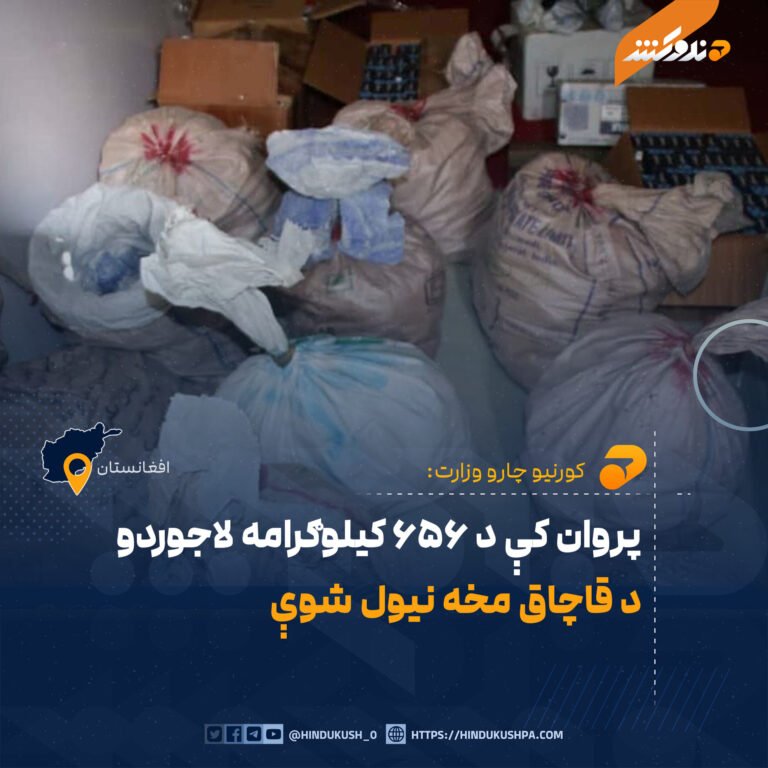 پروان کې د ۶۵۶ کیلوګرامه لاجوردو د قاچاق مخه نیول شوې